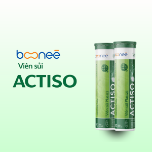 VIÊN SỦI ACTISO (Thanh nhiệt, mát gan)